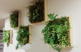 観葉植物レンタルとグリーンレンタルのヴェルジェ