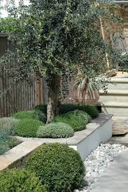 Mediteranean Feel Garden Mediterranean Garden Contemporary Garden Garden Design