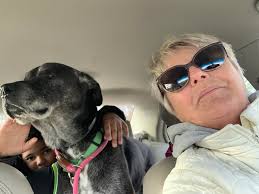 Friendly little guy making nice with boyfriend