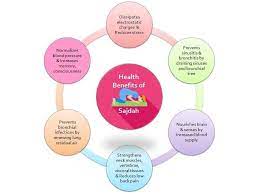 Health Benefits Of Sajdah Prostration Health Benefits Health Bronchial