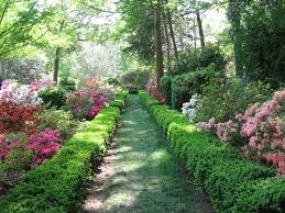 Pin On Garden For The Georgia Cottage