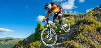 California's bizz johnson national recreation trail | photo by traillink user ryskat. The Best Mountain Biking Trails In California