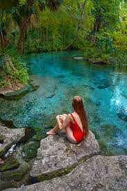 It is truly amazing that florida hosts over 1,000 artesian springs! 12 Prettiest Natural Springs In Florida Florida Trippers