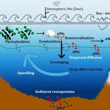 Alakendra ROYCHOUDHURY