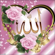 Some of the names of allah have been concealed from mankind; Pink Roses Cicek Guzel Cicekler Resimler