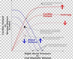 A law stating that, within certain limits, a muscle (including the heart muscle) responds to increased stretching at rest by an increased force of contraction when stimulated. Frank Starling Law Venous Return Curve Heart Ailment Loi De Frank Starling Png Clipart Angle Area