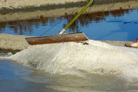 Le Paludier De Guerande