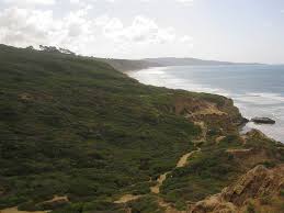 Torrey pines state natural reserve is 2,000 acres of coastal state park located in the community of la jolla, in san diego, california, off north torrey pines road. Torrey Pines State Reserve Torrey Pines San Diego 710 Beach Rentals