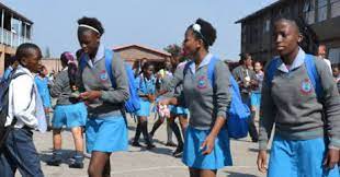 When the new coronavirus rapidly spread across the globe, evidence of its effect on children was still scanty and closing schools seemed the responsible thing to do. Legal Resource Center Intervenes In Farm School Closure In South Africa Escr Net