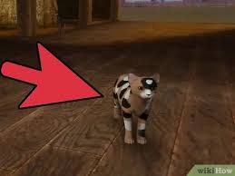 Both of the pets i want to breed my sim has high relationship with, but whenever i encourage my cat to breed, she gets rejected every time. 3 Ways To Breed Pets On The Sims 3 Pets Pc Wikihow