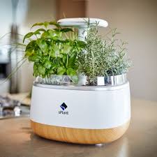 Indoor Herb Garden Kit Top Car Release 2020