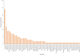 Image result for Grewia conocarpoides