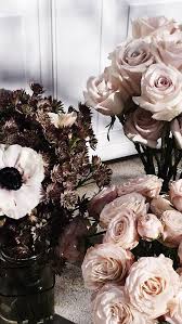Pin By Scarlett B On Fresh Blooms Rose Gold Aesthetic Gold Aesthetic Aesthetic Roses Cómo hacer un vídeo aesthetic en celular. blooms rose gold aesthetic