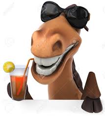 images?q=tbn:ANd9GcQHOyI-5ZnDtKLJROoQNQCepm7yEJYf7wg7Pg&usqp=CAU