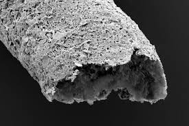 Self-assembling biomaterial could be used to model vascular structures