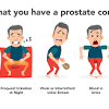 Prostate cancer symptoms might not be apparent in the early stages of the disease, and can be varied based on each person. 1