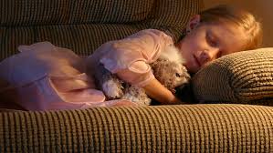 Petersburg, fl and picked the top 24. Pest Control Prohealth Pest Control Organic Pest Control Services