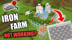 Why Is An Iron Golem Not Spawning In My Iron Farm | Tiktok