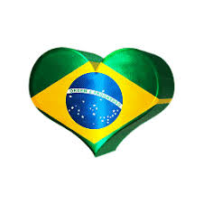 Resultado de imagem para coração brasileiro