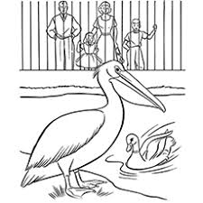 Print out some animal art to take home and color. Top 25 Free Printable Zoo Coloring Pages Online