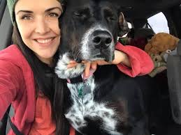 Not sure if this is allowed.. ‼️FOUND‼️