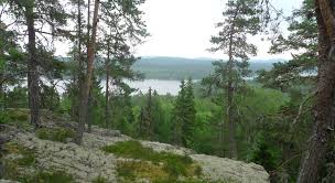 Delsbostämman and hälsingehambon are annual events. Tjuvberget Lansstyrelsen Gavleborg