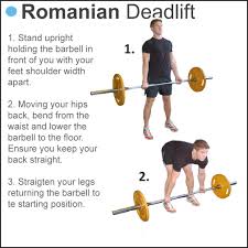 Pics For Romanian Deadlift Gif Deadlift Weights Workout Workout Guide