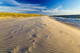 Orient beach state park, 40000 main road, orient. The 6 Best Spots For Beach Picnicking On The East End Edible Long Island