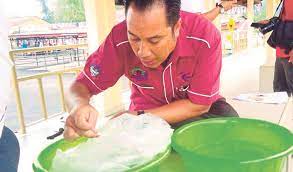 Jabatan perhutanan negeri selangor tingkat 3 bangunan sultan salahuddin abdul aziz. Lepas 1 13 Juta Benih Udang Galah Harian Metro