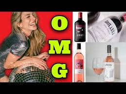 Anna sarelly terminó sus estudios de licenciatura como diseñadora industrial, pero a la par decidió combinar su vida profesional y académica con youtube, haciendo videos de maquillaje y moda y algunos otros vlogs donde hable sobre ella misma, además hace tags, retos y habla de temas. Anna Sarelly Y El Drama De Sus Vinos Son Vinos Reetiq