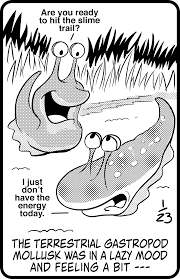 This tool will unscramble letters to make words. Jumble Daily Free Online Game Daily Press