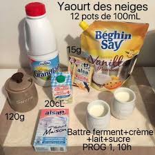 Yaourt Des Neiges Yaourtiere Seb Gateaux Et Desserts Yaourt