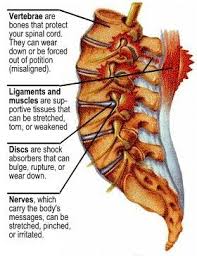 Pin On How To Get Rid Of Lower Back Pain Fast