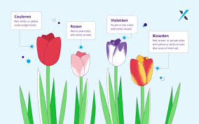 Bitcoin has not repeated the pattern. Bitcoin And Its Major Differences With Tulip Mania Paxful Blog