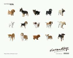 Lab & friends unlock all breeds, rooms, items, and toys on nintendo ds. Nintendogs Love Gif My Dream Car Old Things