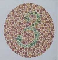 Most of you might think these people only see everything in black and white. What It S Like To Be Color Blind Macrumors Forums