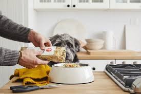 The most important things to look for when picking a dog food for healthy weight gain and muscle have plenty of fat. What Is The Healthiest Dog Food K9 Of Mine