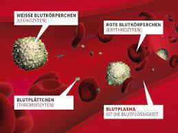 Blutbestandteile Blutspendedienst Des Brk