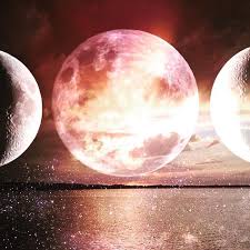 How can we create a safe world where every person can thrive and blossom? Full Moon In Cancer Archives The Numinous
