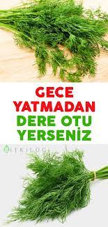 1 Hafta Boyunca Dereotu Tuketirseniz Ne Olur Herbal Medicine Healing Plants Health Remedies