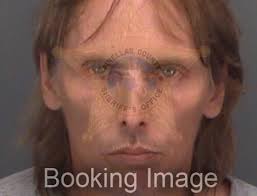 Palm Harbor Crime & Safety News