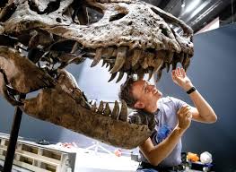 Rex's popularity in the u.k. Fact Check Scientists Didn T Create A T Rex Embryo Using Chicken Dna