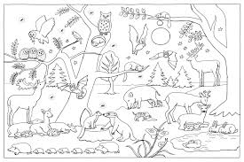 Dieser pinnwand folgen 241 nutzer auf pinterest. Mein Lieblings Malbuch Im Wald Von Christine Henkel Thienemann Esslinger Verlag