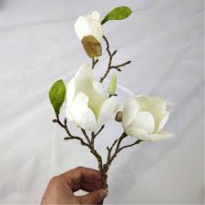 Showcasing various silk flowers, ferns, vines and shrubs that are readily available. Artificial Magnolia Floral Ornaments Home Living Room Table Decoration Flower Simulation Magnolia Flower Chinese Classical 50cm Artificial Dried Flowers Aliexpress