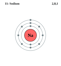 See The Electron Configuration Diagrams For Atoms Of The Elements Electron Configuration Atom Diagram Atom Model