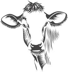 Head Cow Cattle Animal Farm Cow Cow C Cow Drawing Cow Clipart Milk Art Affordable and search from millions of royalty free images, photos and vectors. pinterest