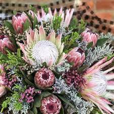 Buy in wholesale bunches with further discounts for bulk purchase. King Protea Exotic Hand Tied Bouquet Exclusive Range Rays Florist
