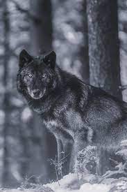 Check spelling or type a new query. That Look Image 2281188 On Favim Com