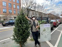 Maybe you would like to learn more about one of these? Planet Money Learns About Market Forces At Christmas Tree Auctions Planet Money Npr