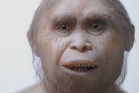 The people with the real problems might. Number Of Ancient Humans Continues To Grow After Discovery Nanaimo News Bulletin
